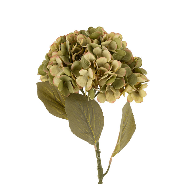 Faded Hydrangea Stem | Green