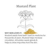100% Natural Mustard Bath Detox Soak