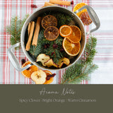 Be Merry & Bright Simmer Mix | Stovetop Potpourri