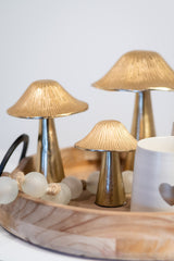 Gold Ribbed Mushroom