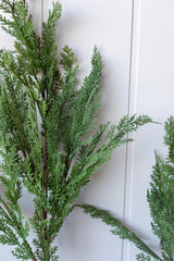 Cypress Pine Real Touch Green Faux Stem | Medium
