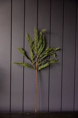 Cypress Pine Real Touch Green Faux Stem | Medium