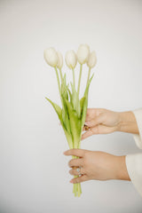 Tulip Bundle | White