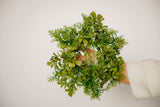 MIX BOXWOOD MINI WREATH