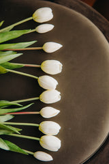 Tulip Bundle | White