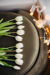 Tulip Bundle | White