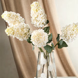 Hydrangea Paniculata Stem | White