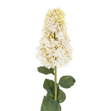 Hydrangea Paniculata Stem | White