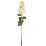 Hydrangea Paniculata Stem | White