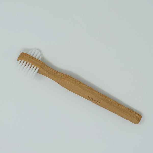 CLEANING BRUSH