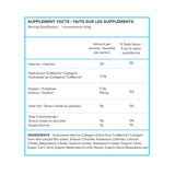 ReHydrate + TruMarine® Collagen Jar | WATERMELON LIME